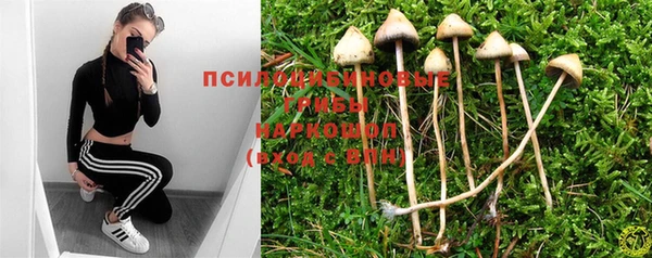 кокс Алексеевка