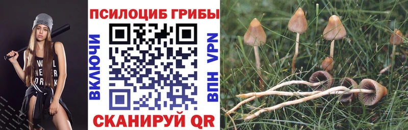 Псилоцибиновые грибы Cubensis  наркотики  Карталы 